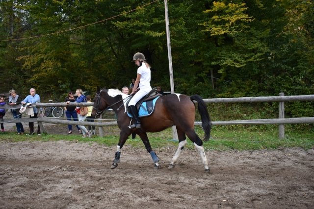 bABIE lATO 2018